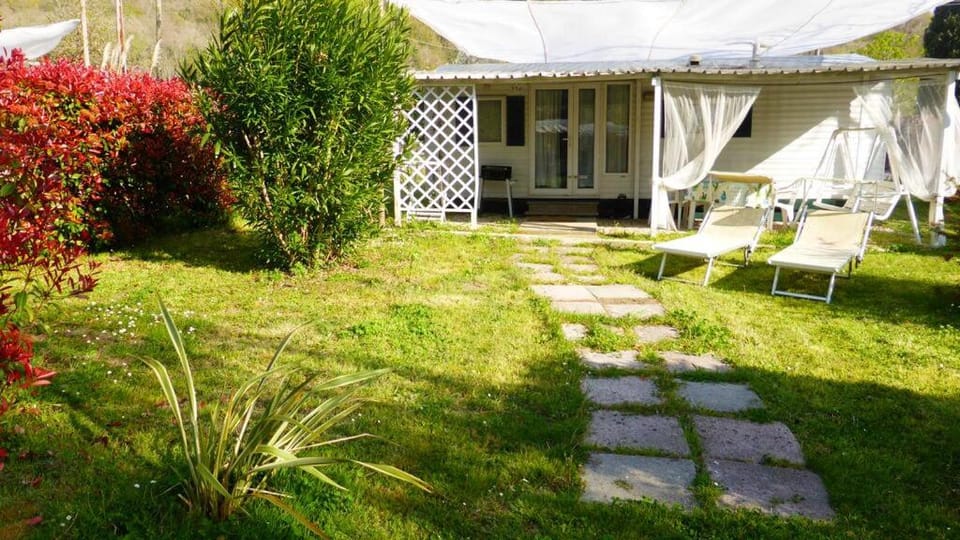 Patio, Garden