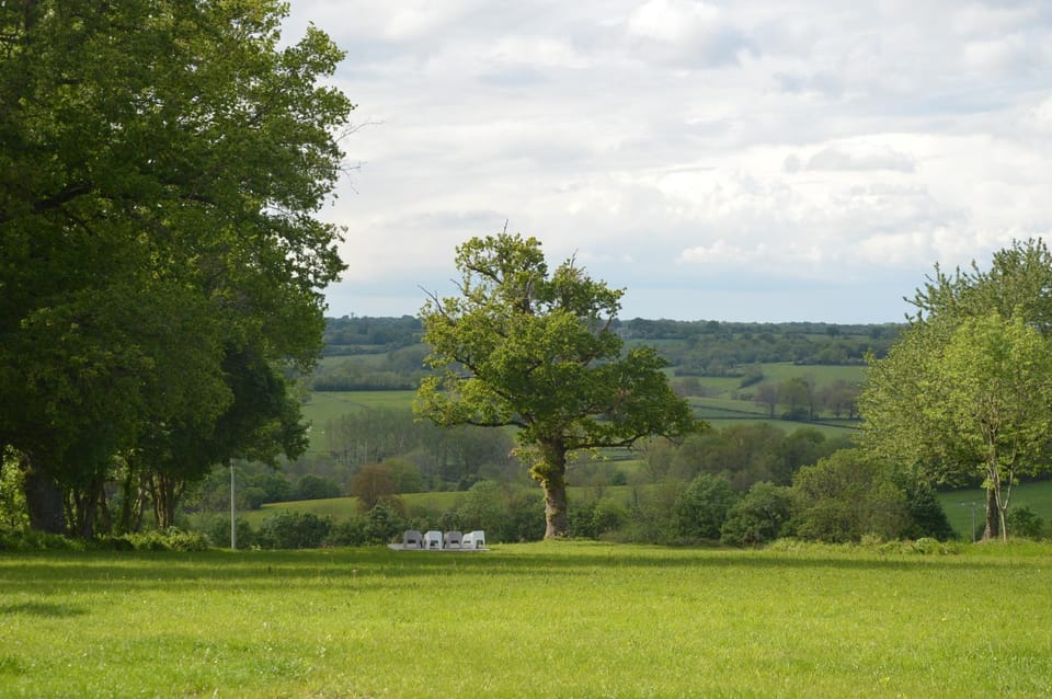 Natural landscape, Garden