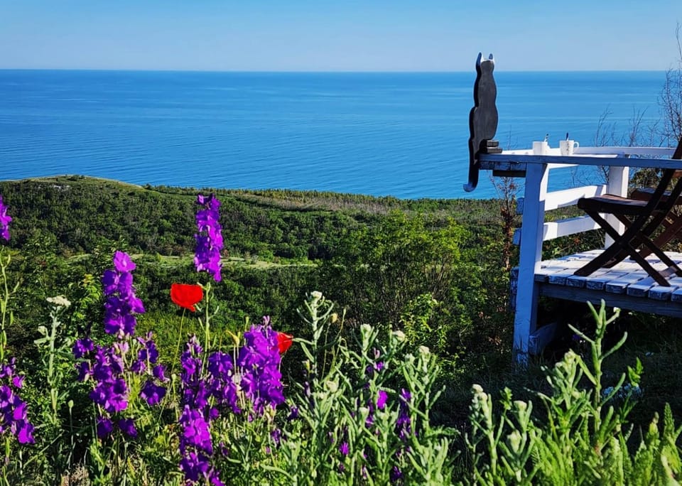 Bird's eye view, Sea view