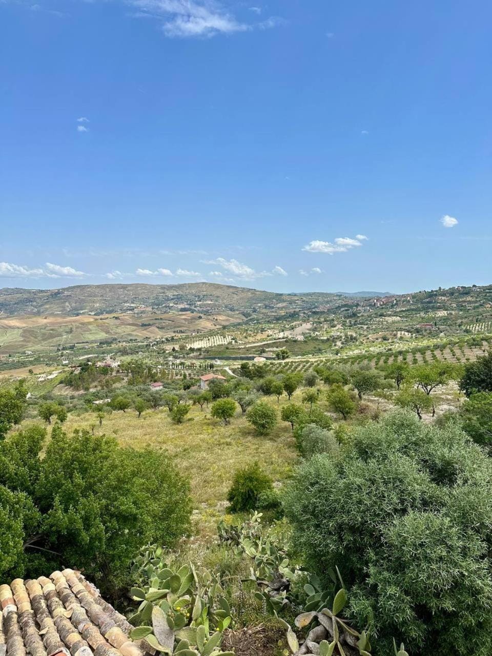 Day, Natural landscape, Garden, Mountain view