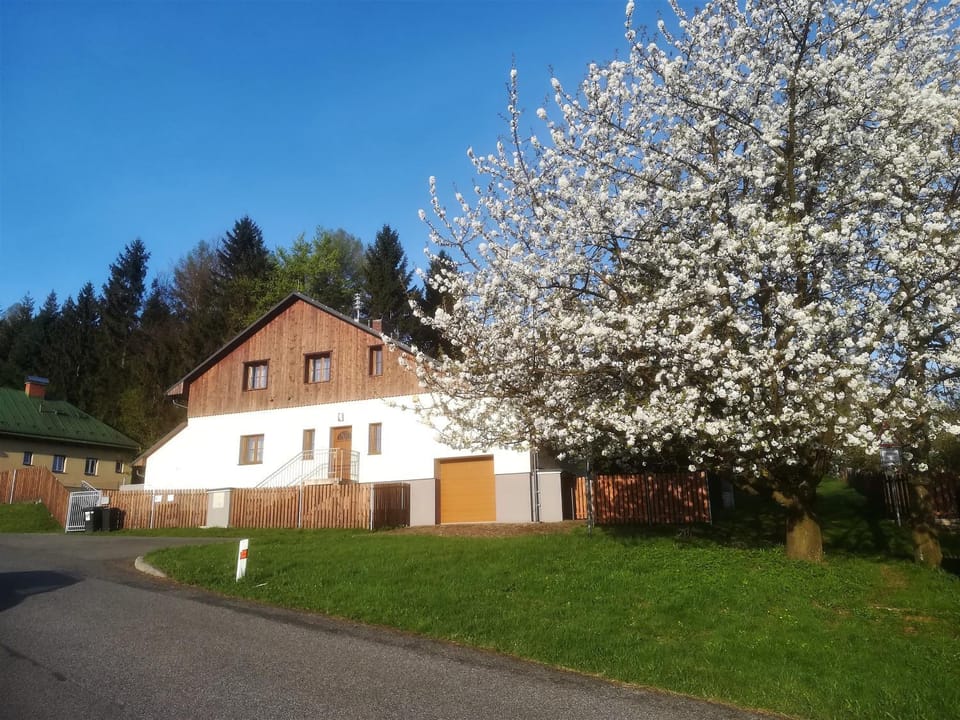 Facade/entrance, Spring, Day