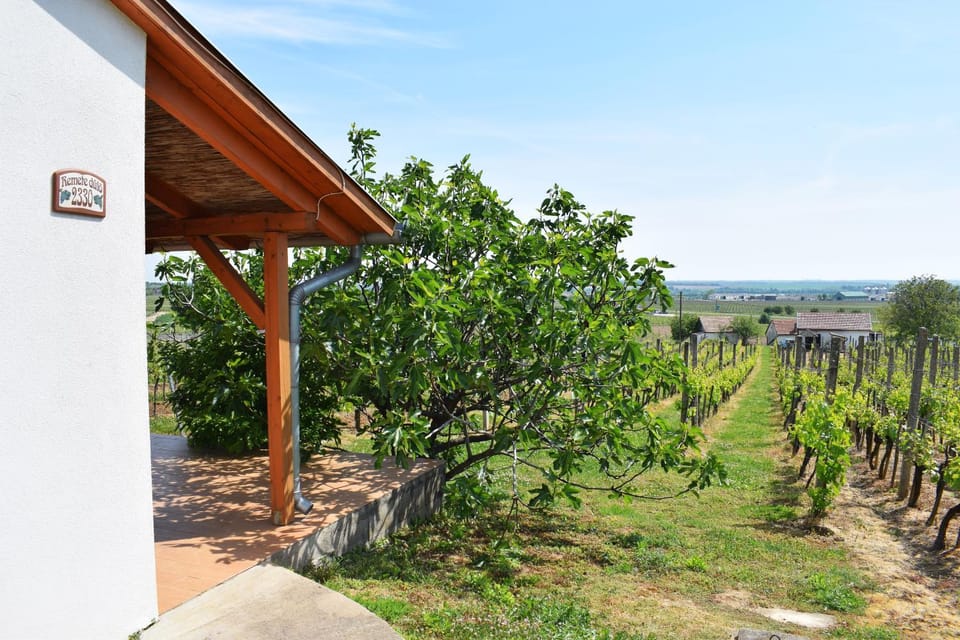 Remete-lak Bed and Breakfast in Hungary