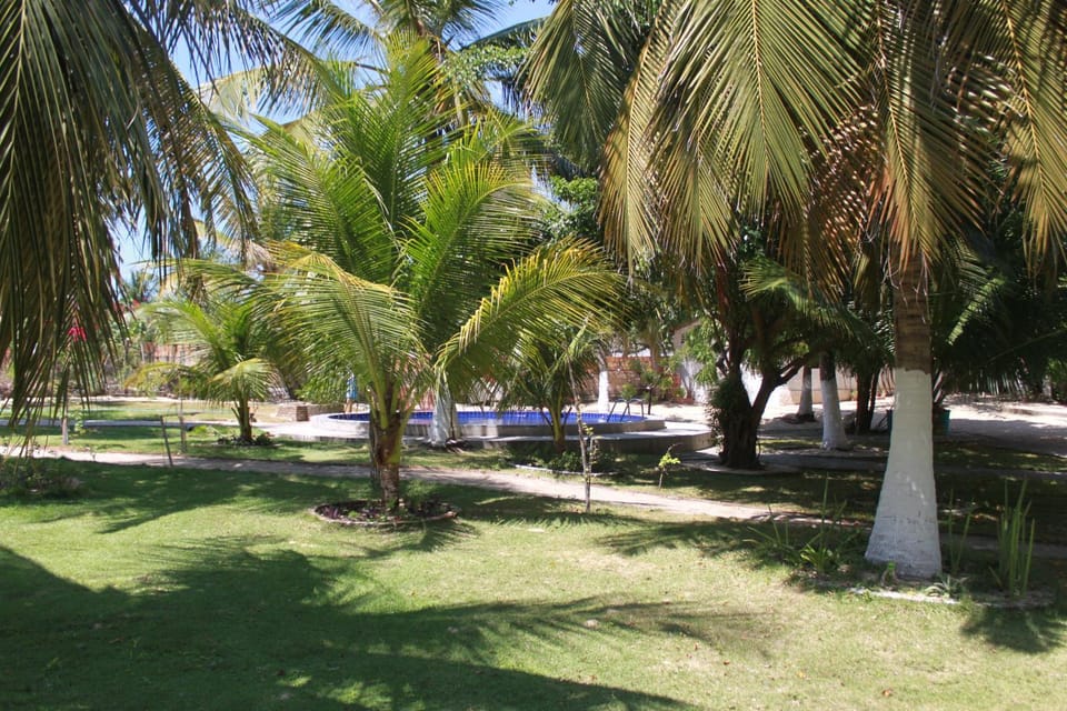 Garden view