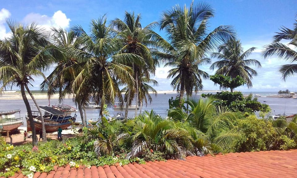 Garden, Beach