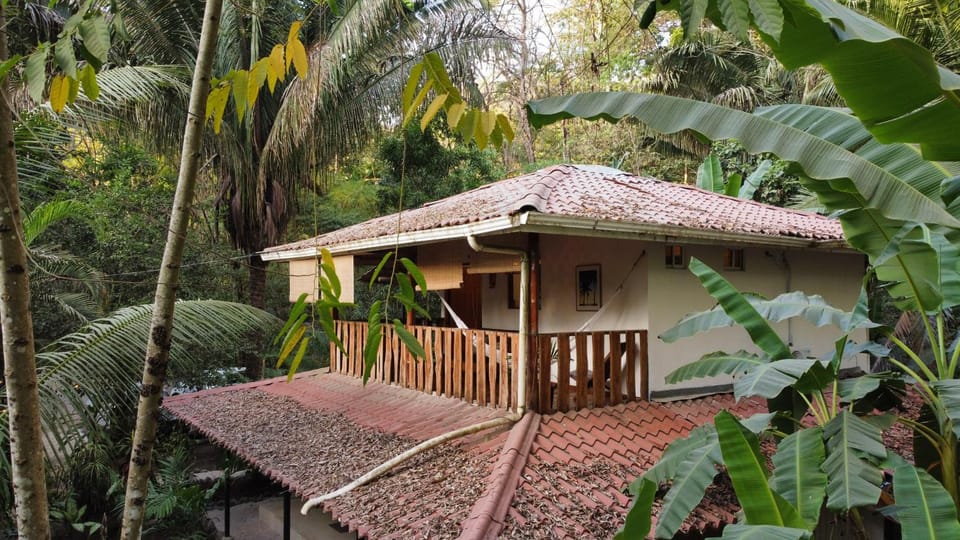 Property building, Patio, Facade/entrance