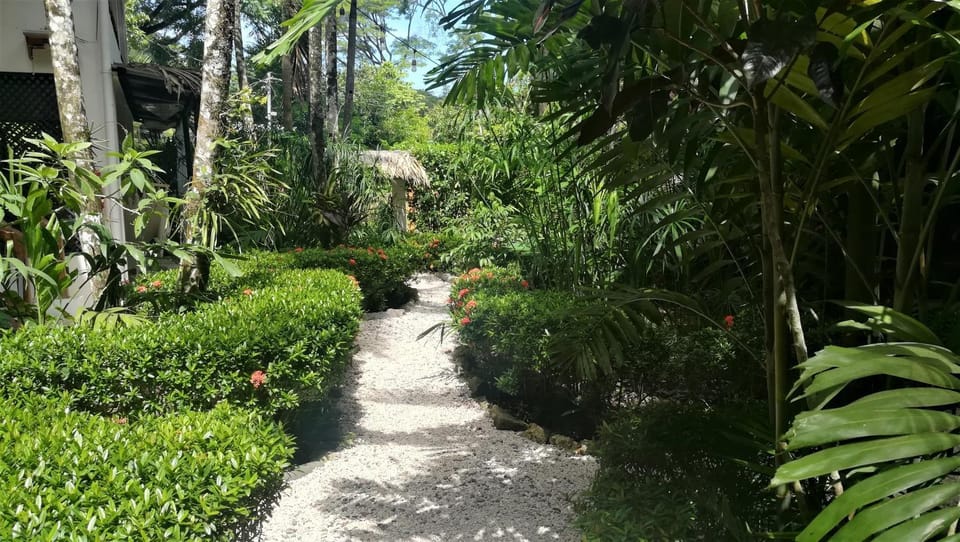 Garden, Garden view