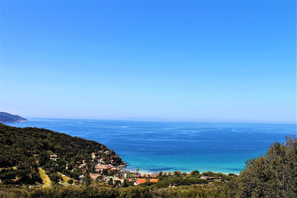 Spring, Neighbourhood, Natural landscape, Beach, On site
