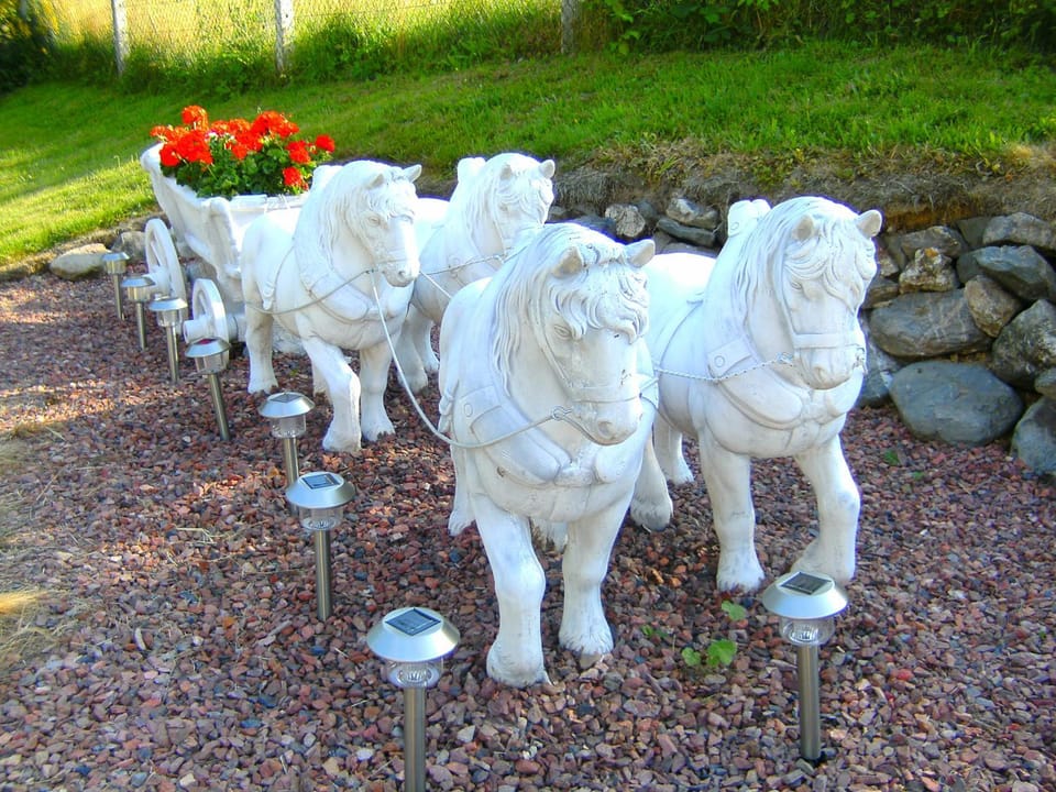 B&B Le Petit Normand Bed and Breakfast in Wallonia, Belgium