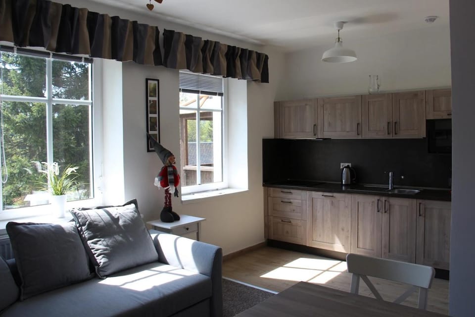 Kitchen or kitchenette, Living room