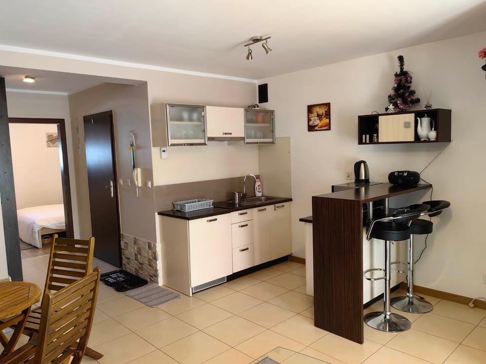 Sentymentalne Kościelisko Apartament & SPA Apartment in Lesser Poland Voivodeship