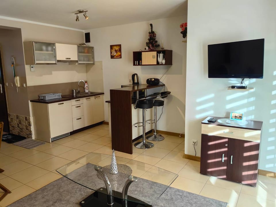 Sentymentalne Kościelisko Apartament & SPA Apartment in Lesser Poland Voivodeship