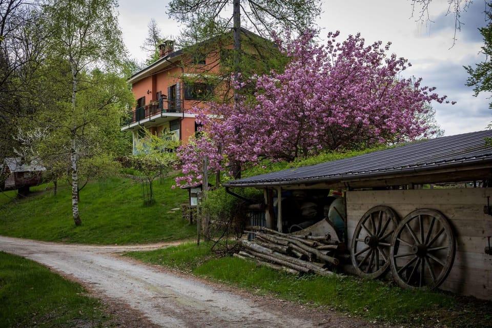 B&B Pian Savin Bed and Breakfast in Piedmont