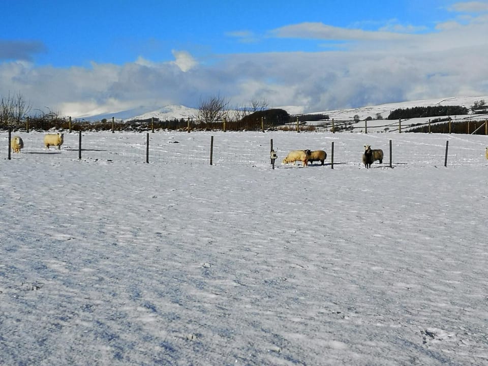 Winter, Mountain view