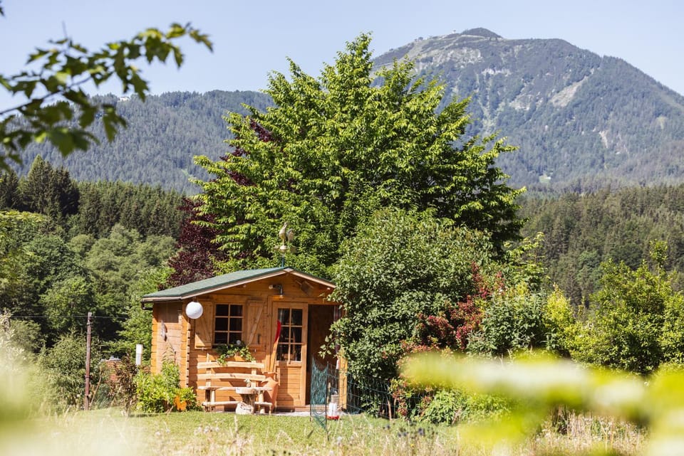 Natural landscape, Garden, Mountain view