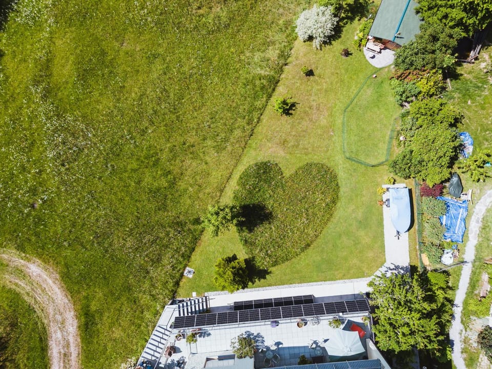 Garden view