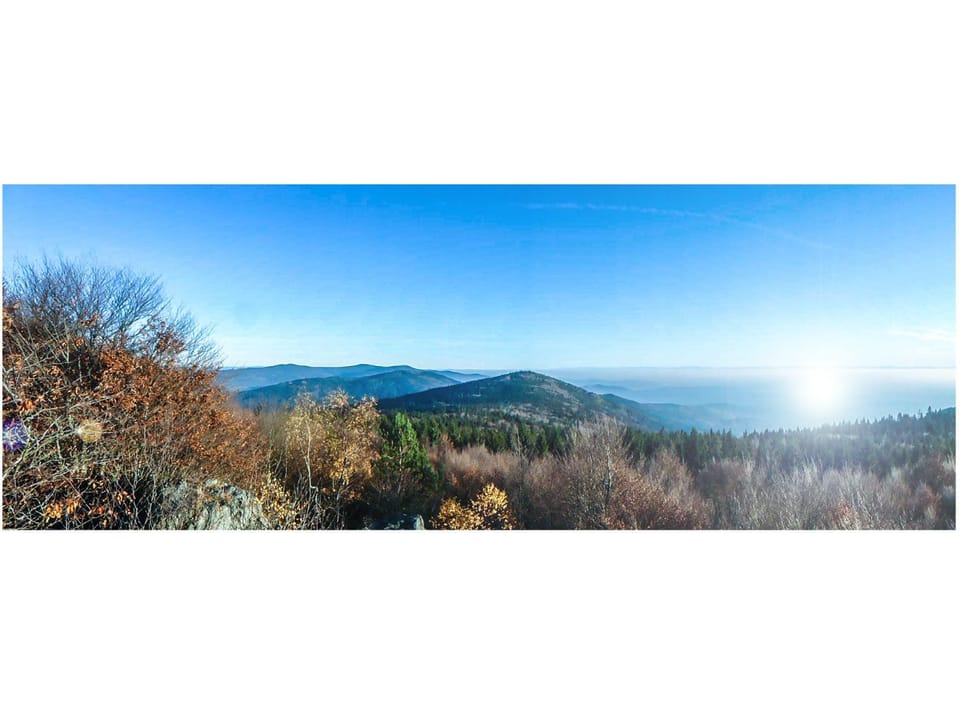 Natural landscape