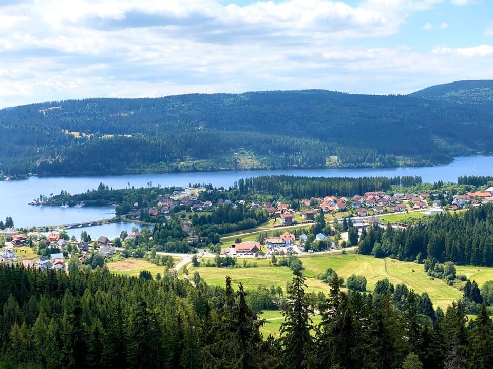 Nearby landmark, Staff, Bird's eye view