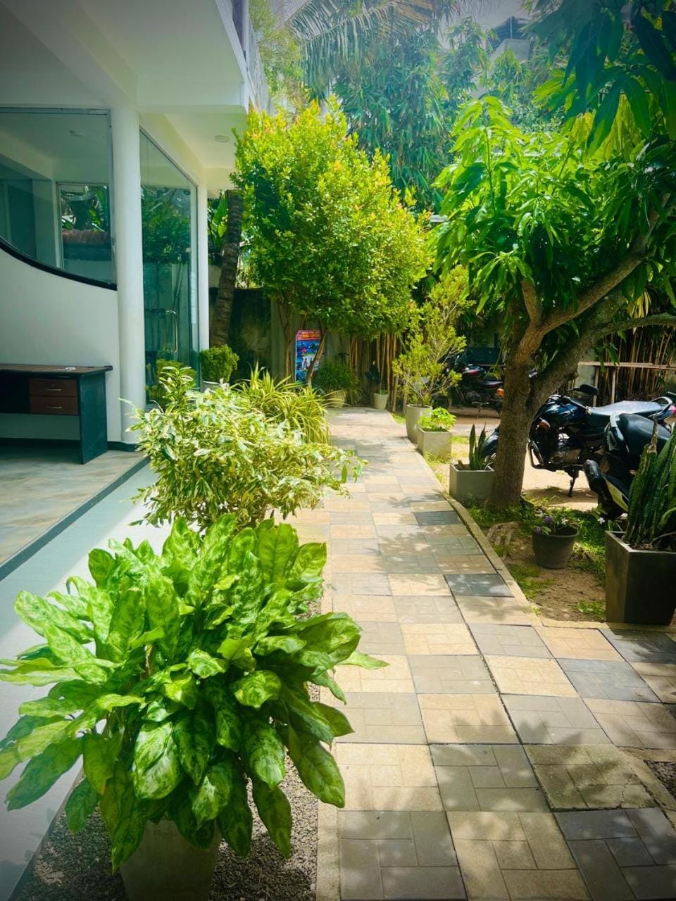 Property building, Day, Garden, Garden view