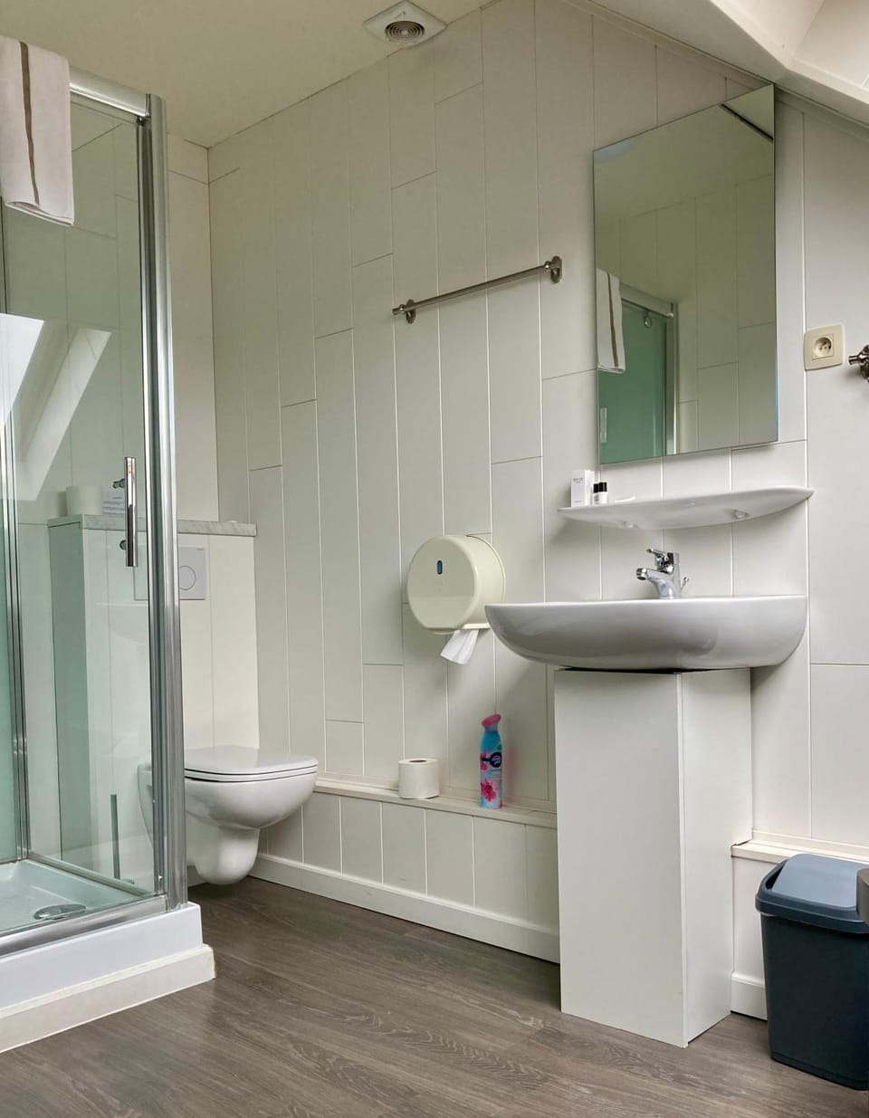 Shower, Toilet