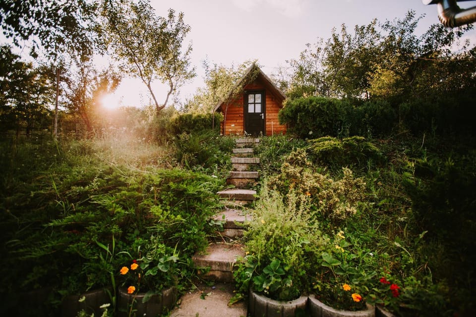 Summer, Garden, Garden view, Sunset