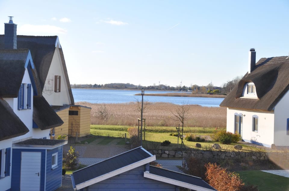 Lake view