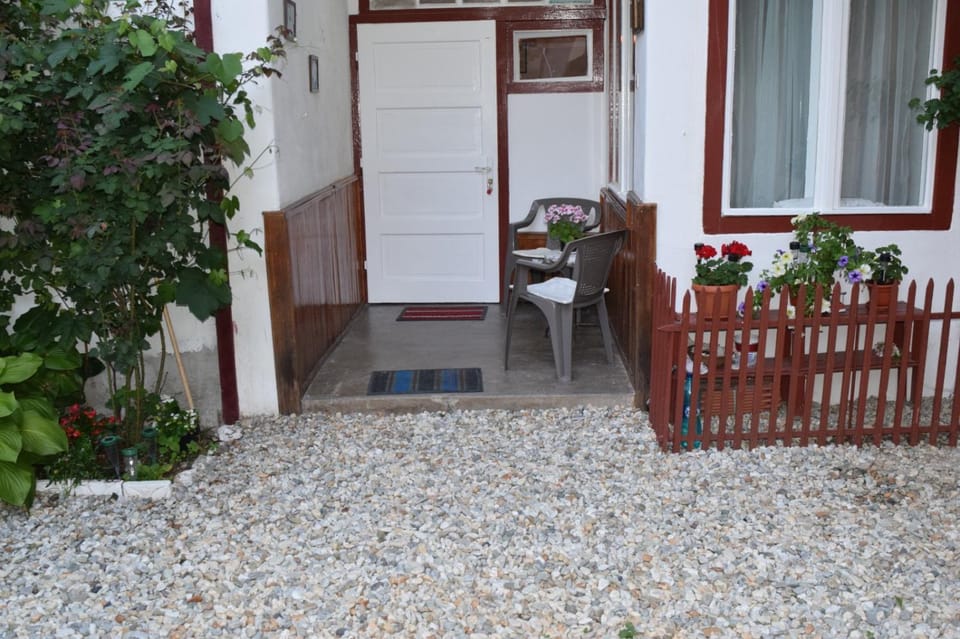 Serb Rafila Apartment in Sibiu