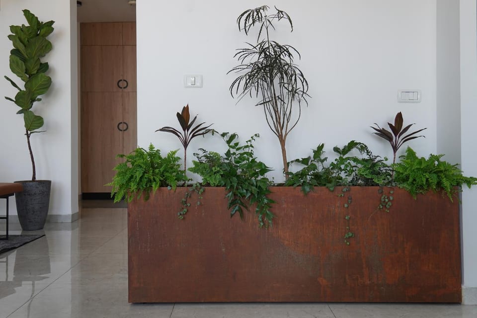 Garden, Living room