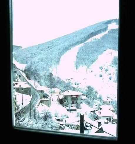 Bedroom, Mountain view