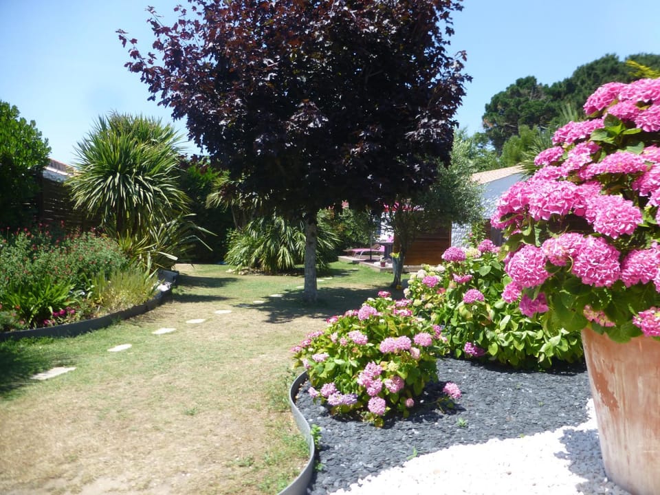 Garden view