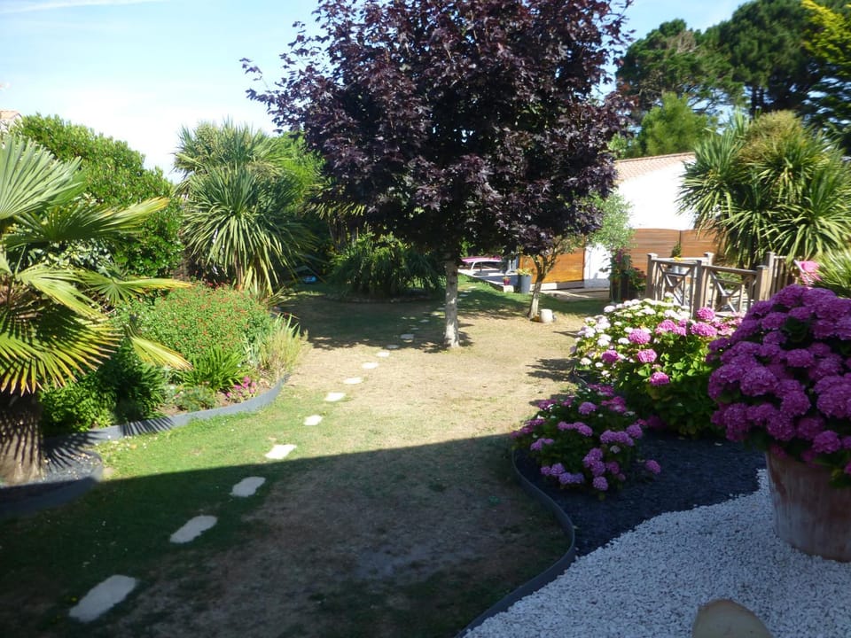 Garden view