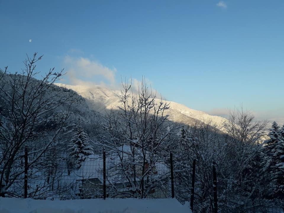 Natural landscape, Winter, Hiking, Mountain view