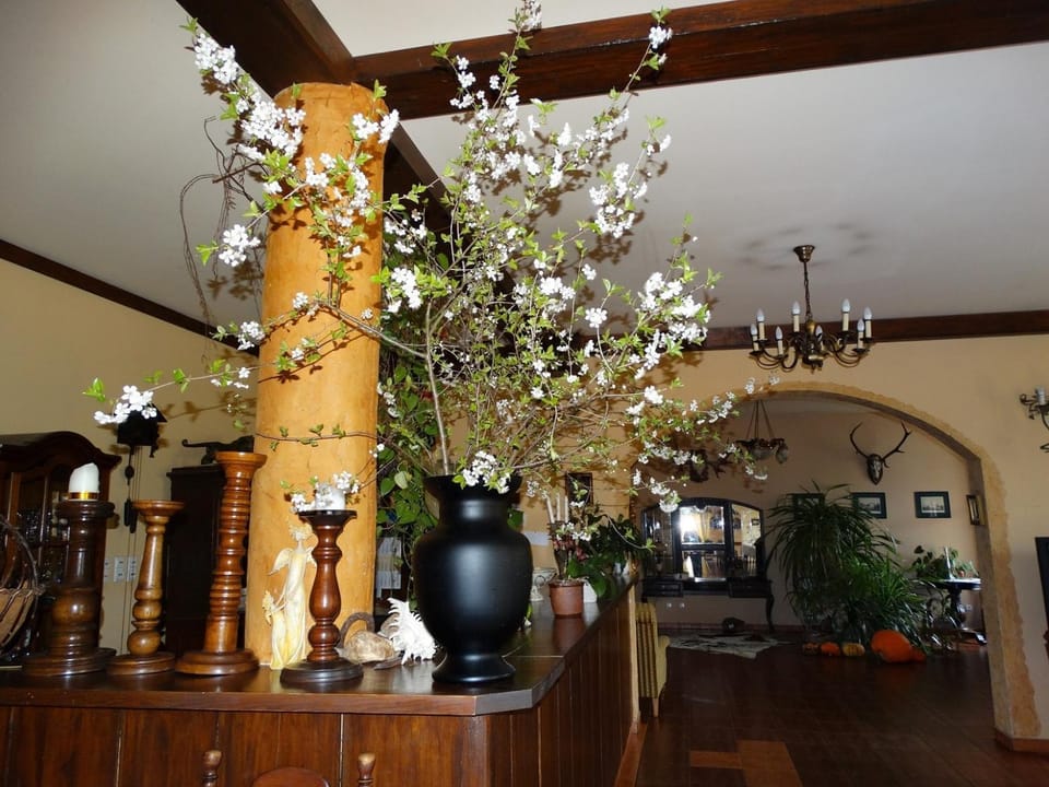 Restaurant/places to eat, Breakfast