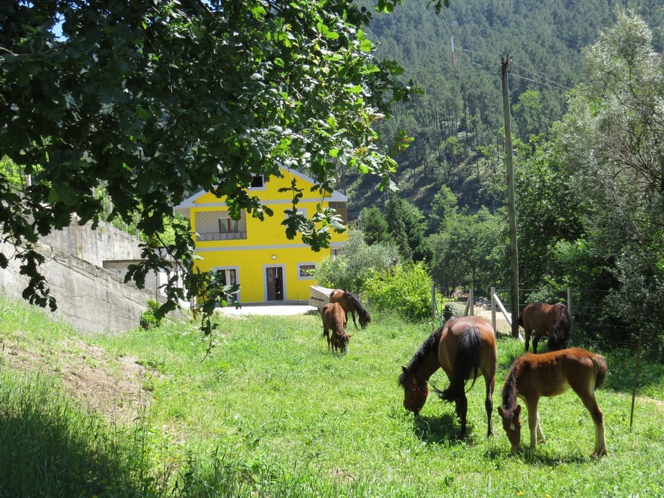 Quinta Machado Da Pedra Bela House in Viana do Castelo District, Portugal
