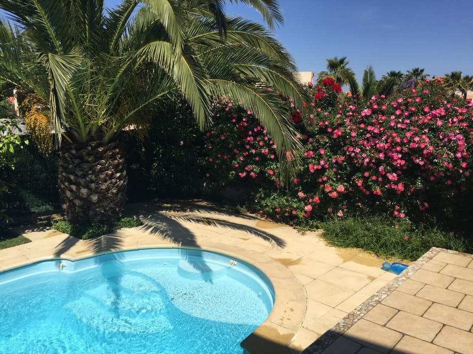 Spring, Garden view, Pool view