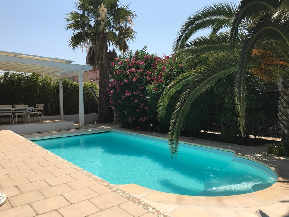 Swimming pool, Swimming pool