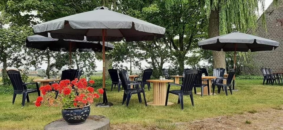 Property building, Day, Garden view