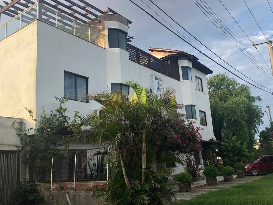 Property building, Garden, Garden view