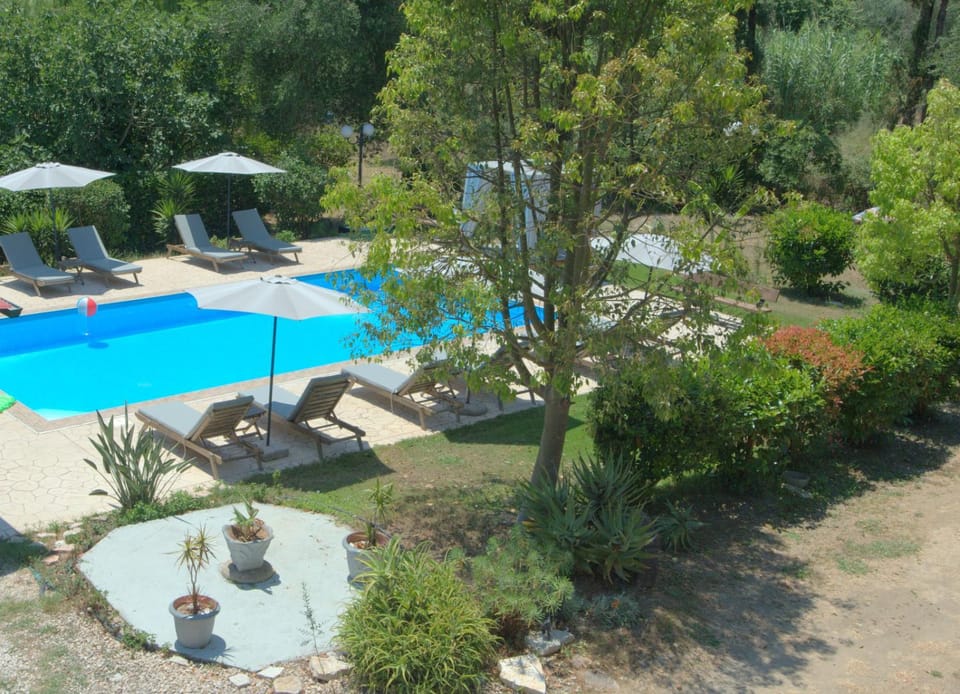 View (from property/room), Swimming pool, sunbed