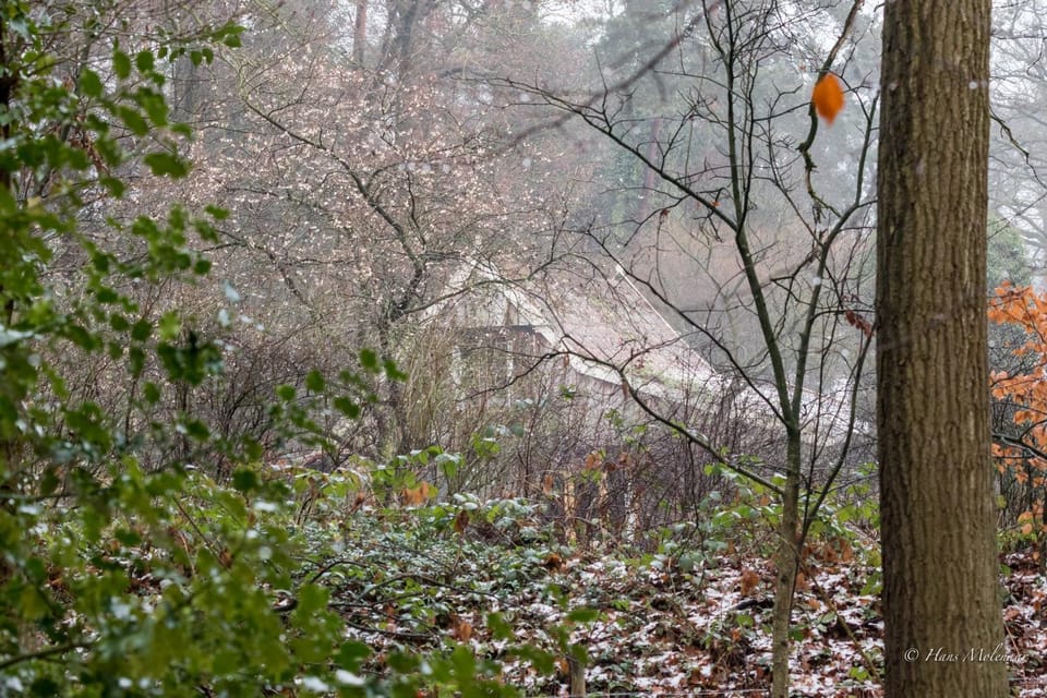 Property building, Winter