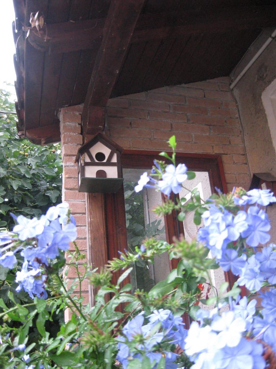B&B A casa della zia Bed and Breakfast in Trentino-South Tyrol