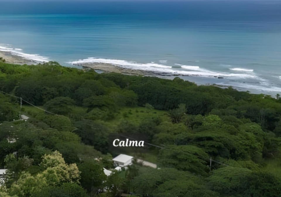 Neighbourhood, Natural landscape, Bird's eye view, Beach, Area and facilities
