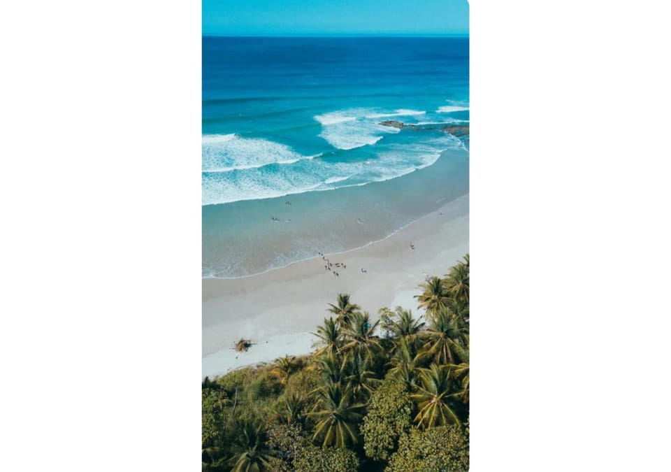Nearby landmark, Natural landscape, Beach, Area and facilities
