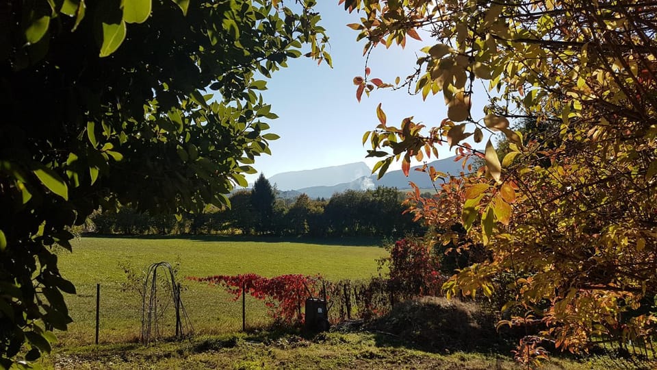 Mountain view