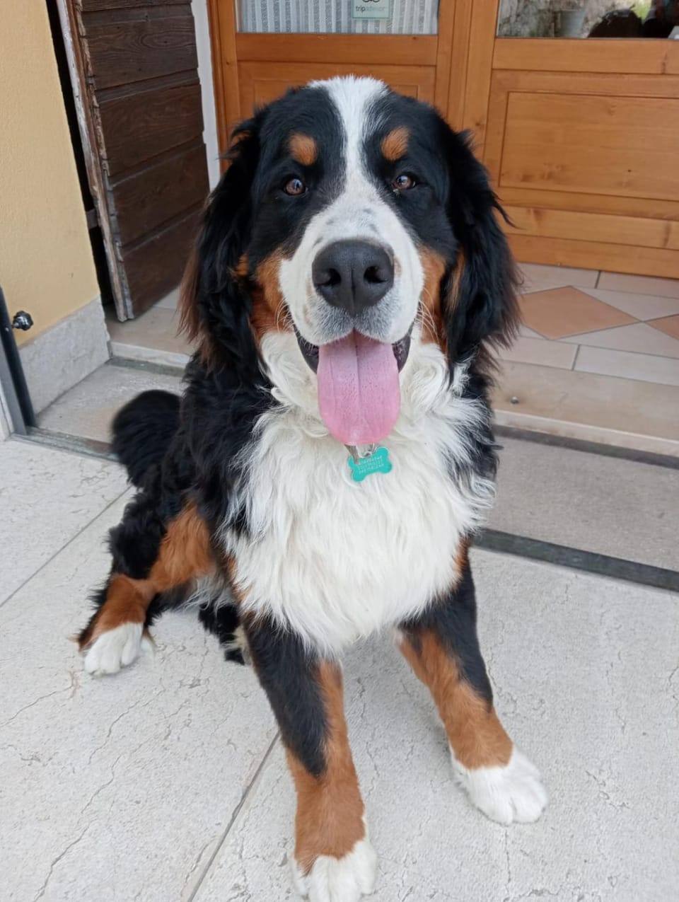 Al Vajo Farm Stay in Lazise