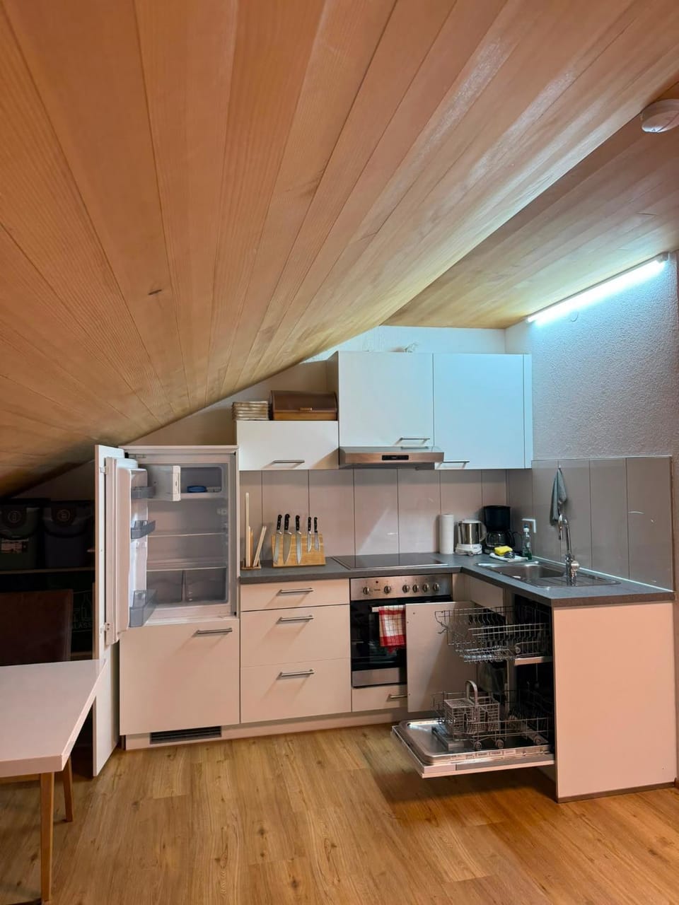 Kitchen or kitchenette, kitchen