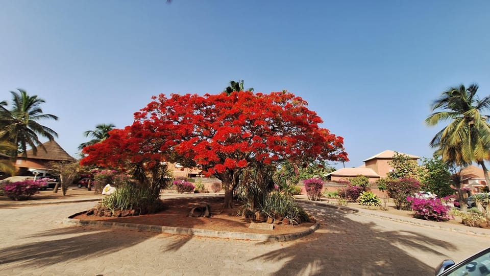 Safari Village - Case73 House in Saly