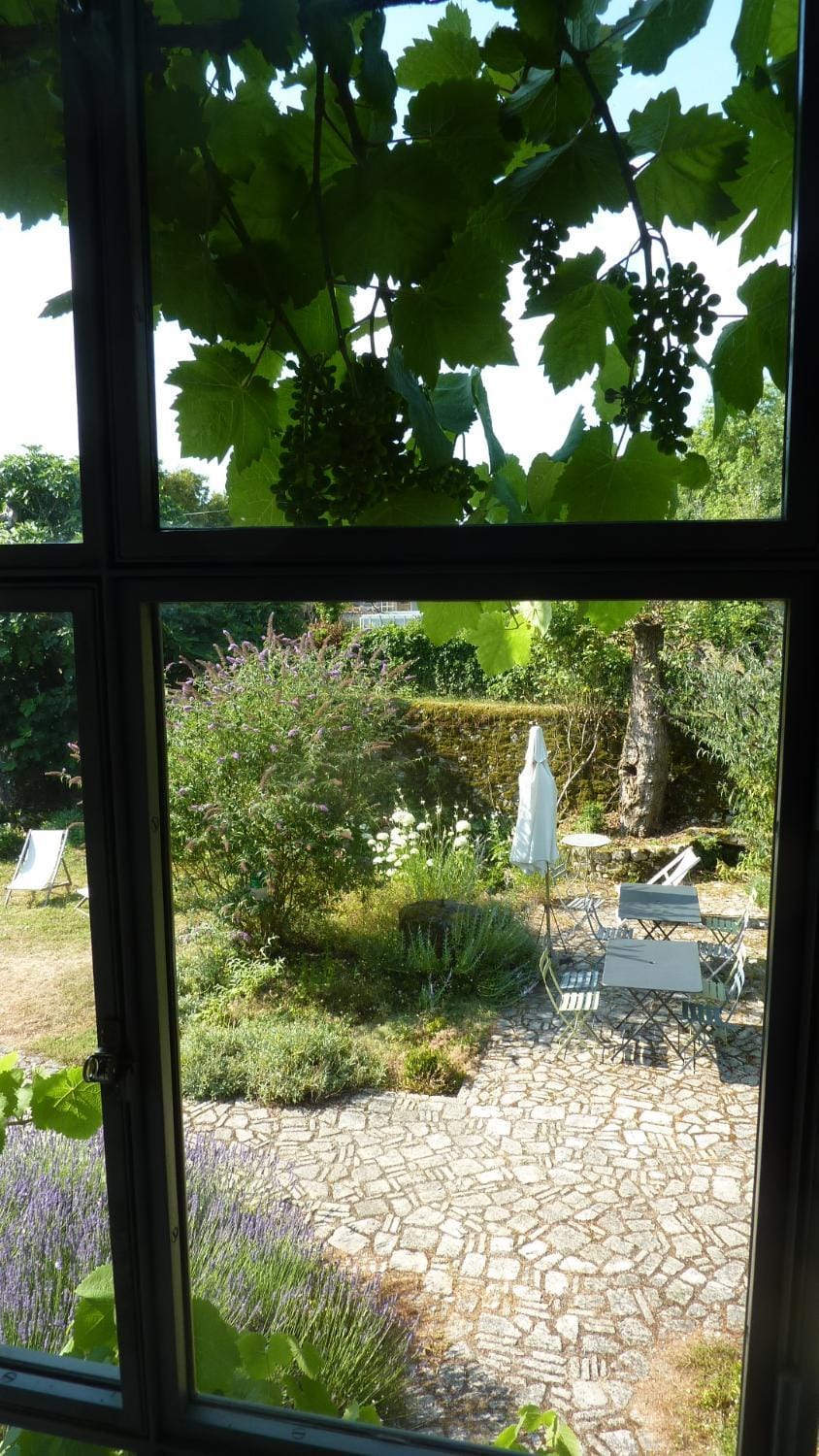 Garden view