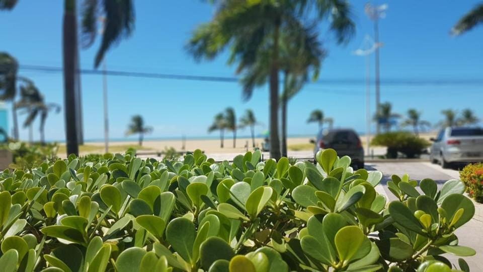Garden, Balcony/Terrace, Beach