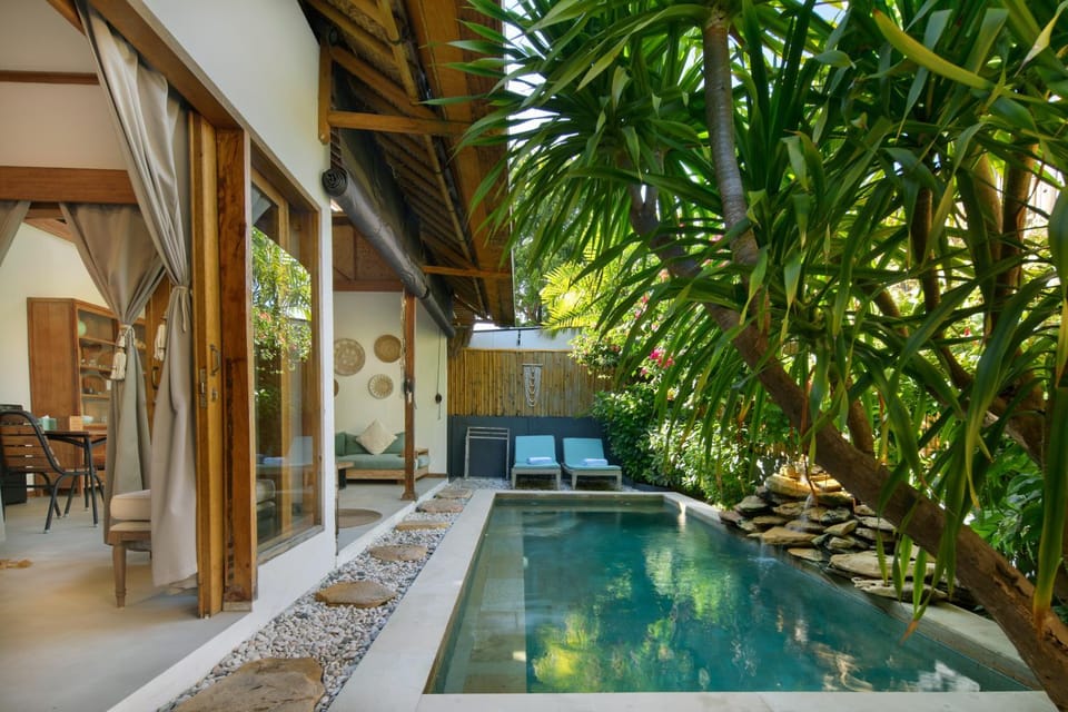 Garden, Garden view, Pool view, Swimming pool, sunbed