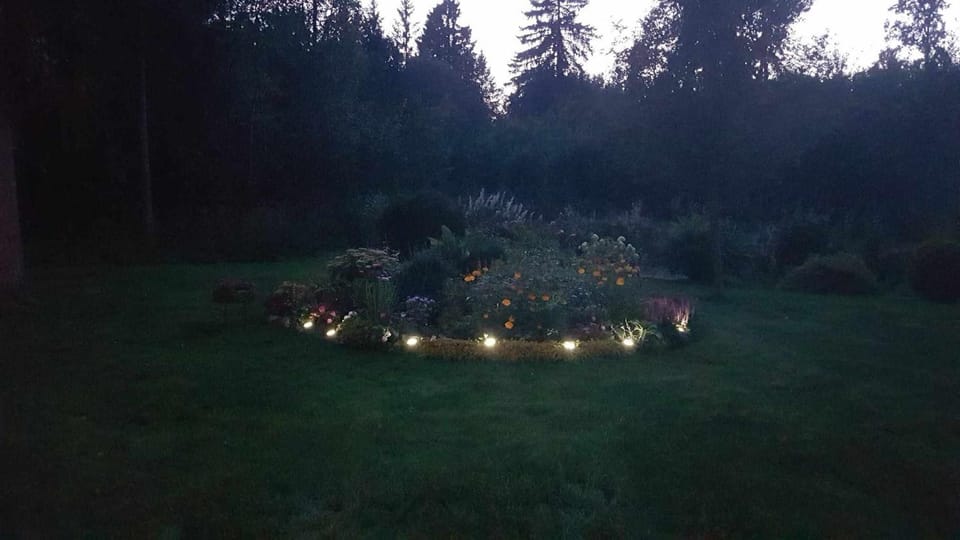 Night, Garden, Garden view